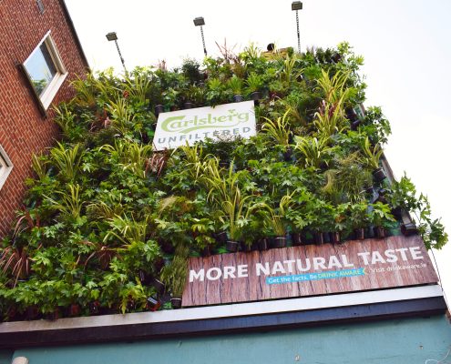 Carlsberg Eco Wall